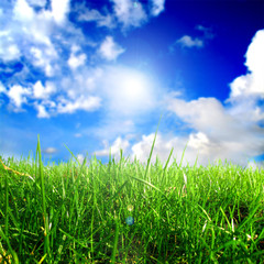 Grass and sky relaxing landscape