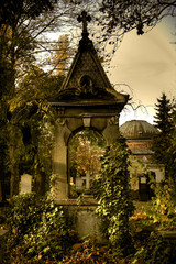 Fototapeta premium Herbstliche Parkszene