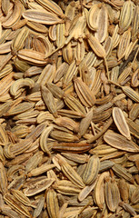 fine macro image of brown seed texture