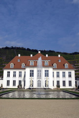 Fototapeta na wymiar Staatliches Weingut Schloss Wackerbarth, Radebeul,Sachsen