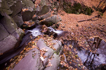 Autumn stream