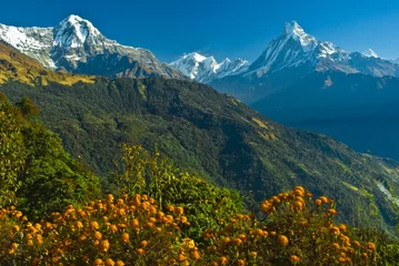 Photo sur Plexiglas Annapurna Machapucchre
