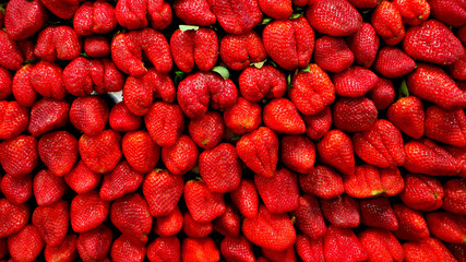 fraises et fruits