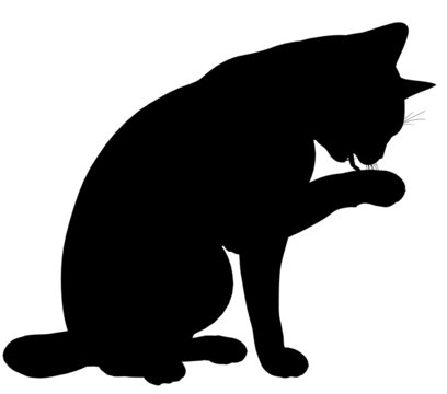 recommend clip art: Cat108