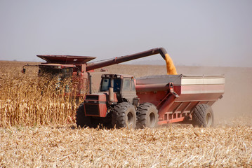 Obraz premium Combine harvesting corn, San Joaquin Valley, California