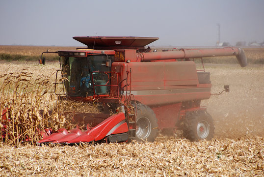 Combine harvesting corn, San Joaquin Valley, California