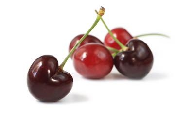 Fresh red cherries, isolated on white with soft shadow.