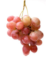 Red grapes hanging from a vine.