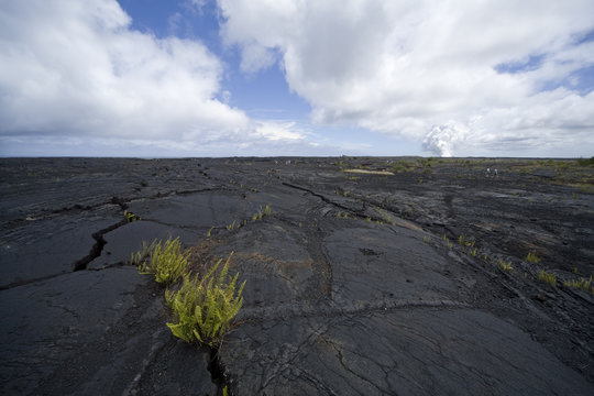Bed of lava with a crack runing away from camera