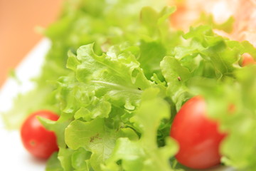 assiette de salade