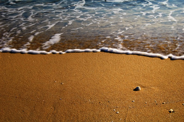 Shoreline background with wave, sand and shell