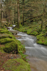 quellwasser