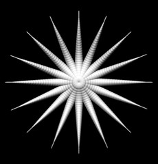 Fototapeta na wymiar Abstract organic star form on black background - 3d illustration