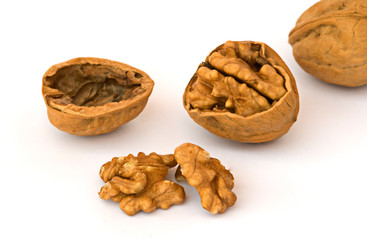 Walnuts on white background