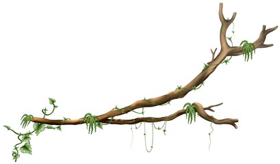 Branch Tree A02 - isolated hand drawn tree with creepers plants