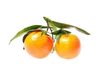 two tangerines with leaves isolated on white background