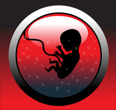 Womb with human embryo shape