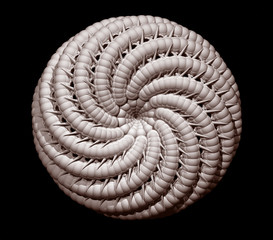 Abstract organic form on black background - 3d illustration