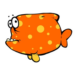 dumb big orange fish