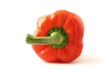 Bell pepper