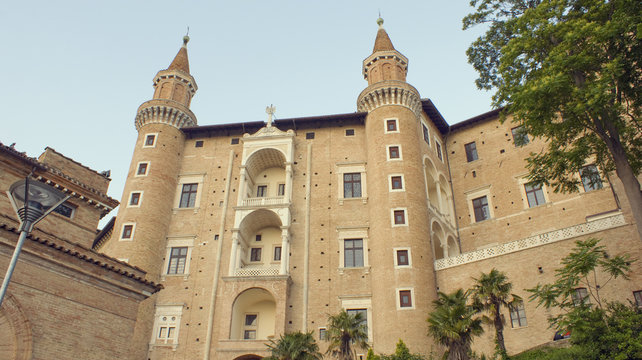 Urbino Torricini