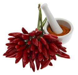 Chili, Chilischoten mit Chilipulver