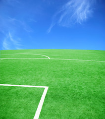 Obraz premium football grass background in light and shadow