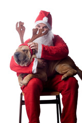 santa claus with sharpei dog