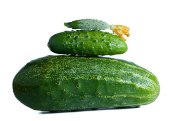 three cucumbers different size