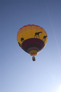 A vertical image of a hot air balloon.