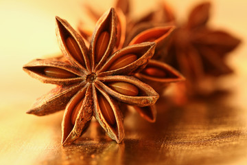 Sternanis