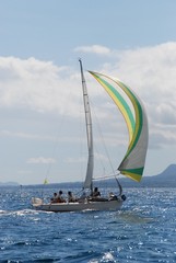 Naklejka premium sous spli vert et blanc