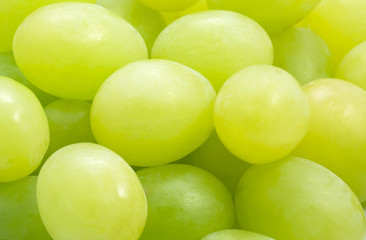 A close-up of grapes, taken with a macro lens.