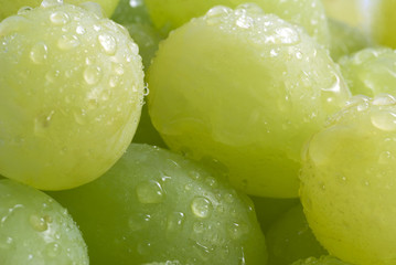 A close-up of grapes, taken with a macro lens.