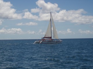 Grenada - Catamaran