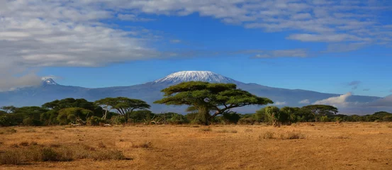 Foto op Plexiglas Kilimanjaro Kilimanjaro Breed