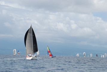 Naklejka premium boat 512