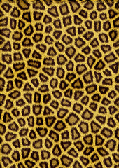 the abstract image of fur of an animal