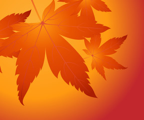 Thanksgiving Concept Illustration Image