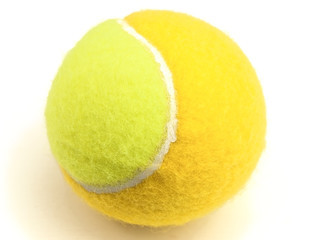 single tennis-bal against the white background