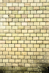 Grunge old bricks wall texture