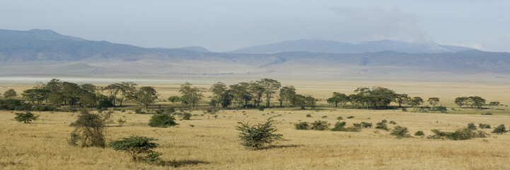 Obraz premium View of the view Ngorongoro Crater, tanzania