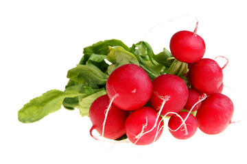 Bunch of red radish isolated on white background