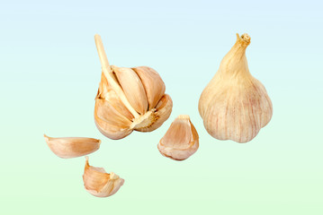 Garlic bulbs and cloves isolated on background