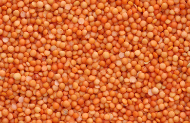 lentils 2