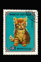 Mongolian postage stamp with red persian cat
