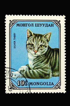 Mongolian postage stamp with silver tabby cat