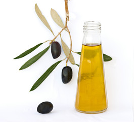 Bottle of olive oil and olive branch