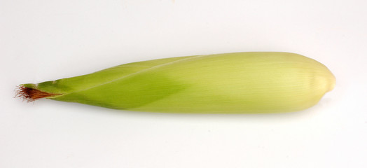 corn with leaf © photo25th