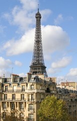Fototapeta na wymiar Eifel tower view from the paris roofs